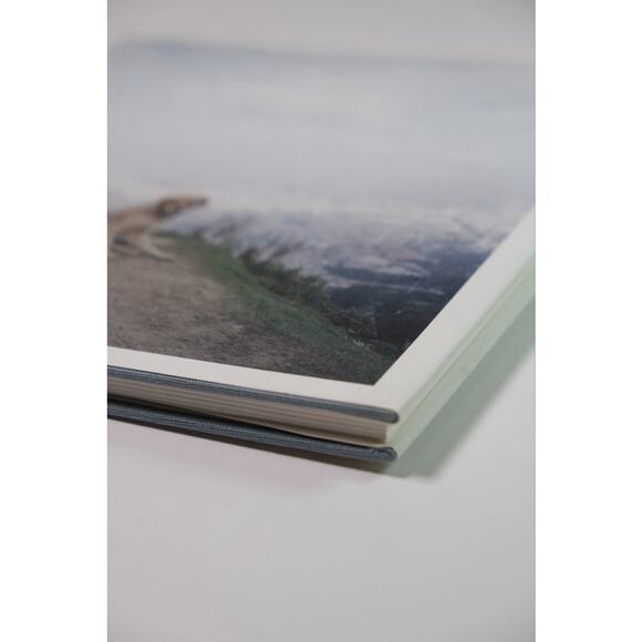 Alec Soth, Dog Days Bogota Hardcover Book RARE Minnesota Photographer - Picture 4 of 15